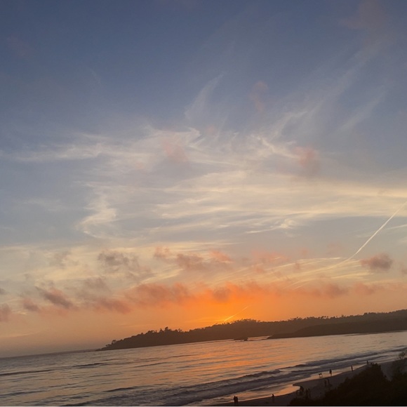 Meet your Posher, Nora - Picture 1 of 1